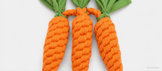 Bramblewood Carrot Chew Toy