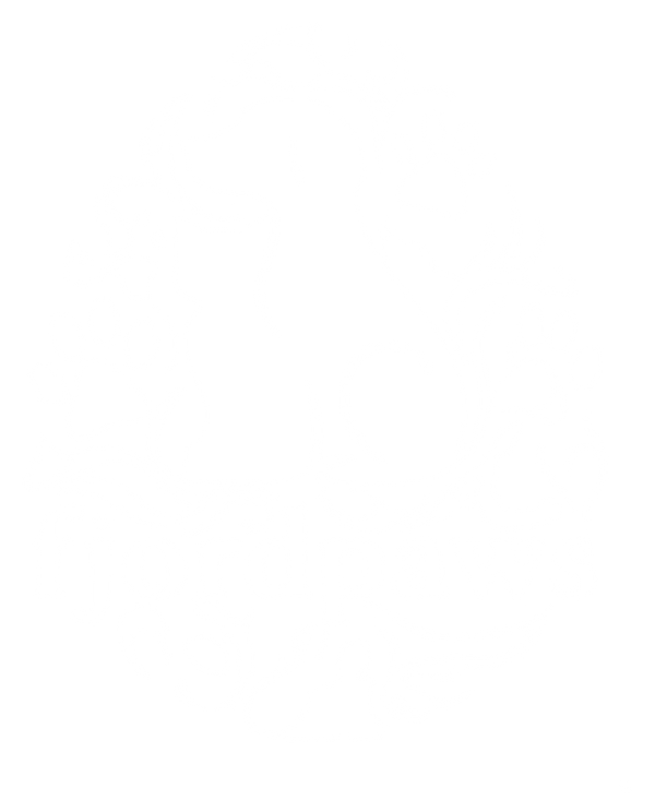 fjord paws