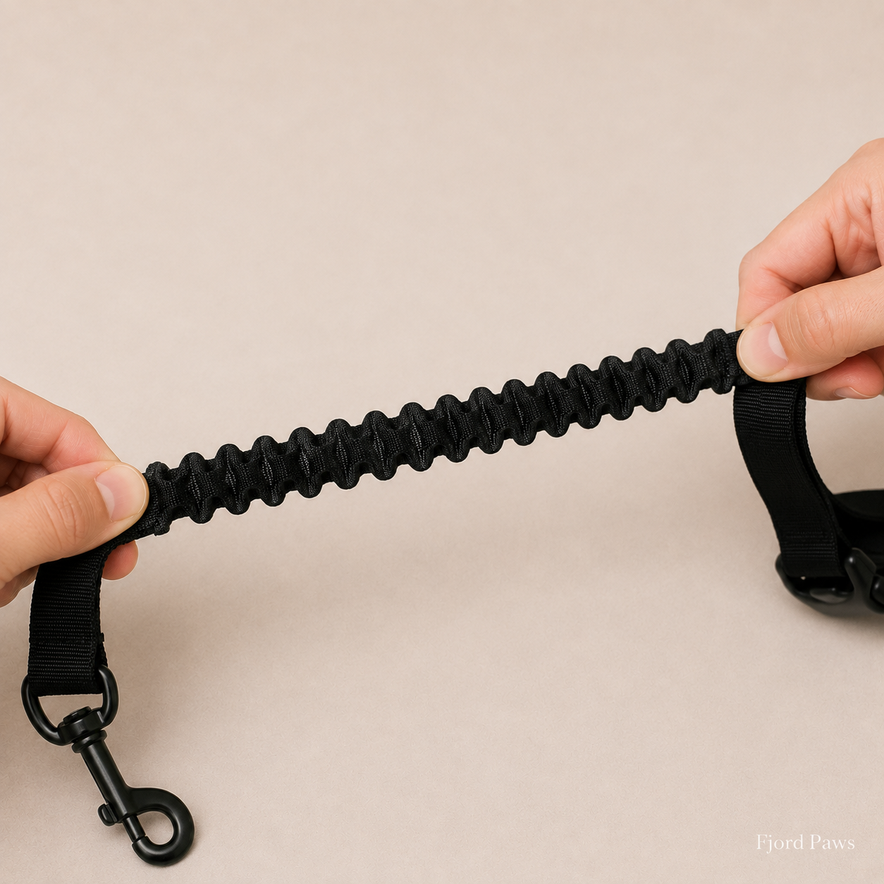 Nordrun Hands-Free Dog Leash