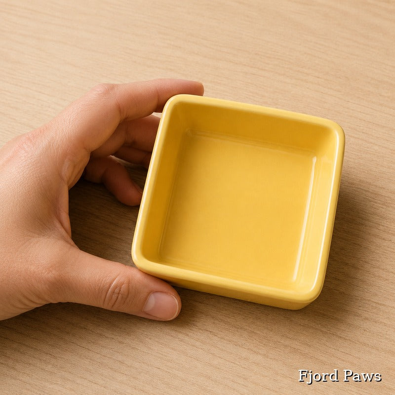 A hand holding a small square yellow ceramic dish on a light wood tabletop. The brand name 'Fjord Paws' is visible in the bottom right corner.